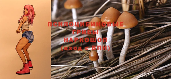 a pvp Белоозёрский