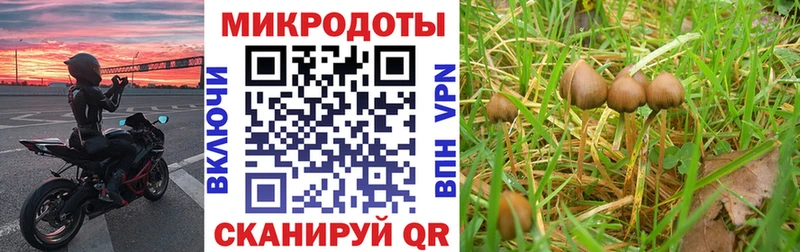 Псилоцибиновые грибы Magic Shrooms  Елизаветинская 